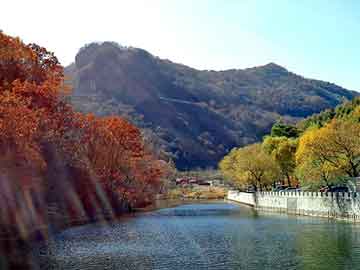 新澳天天彩免费资料大全查询，布鸟里 杜甫